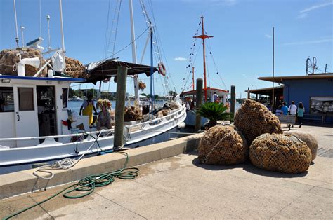 Tarpon springs sponge docks tarpon springs fl - Sponge Docks Info; The Tarpon Springs Seafood Festival offers a wide variety of delicious food options, including non-seafood dishes. ... Tarpon Springs, FL Dates: 11/08/2024 - 11/10/2024 Time: 10:00pm - 9:00pm, Sunday: 9:00pm Organizer: Tarpon Springs Merchants Association Email: [email protected] Vendor Information. Email: [email …